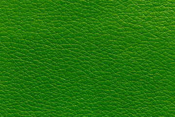 Textured Green Leather Background