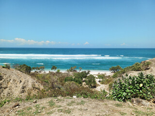 View of a tropical beach with turquoise waters and palm trees
