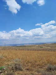 landscape in the desert