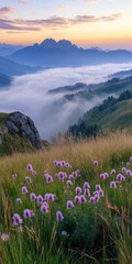Fototapeta premium A mountain range with a foggy sky and a field of purple flowers. The flowers are scattered throughout the field, with some in the foreground and others in the background