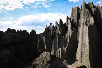 Exploring the dramatic limestone formations of Tsingy de Bemaraha National Park in Madagascar under a clear blue sky