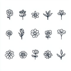 Blooming Beauties: A Minimalist Floral Collection: Embrace the delicate beauty of nature with this collection of 15 minimalist flower and leaf illustrations. 