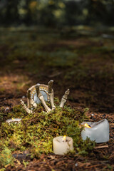 Fototapeta premium Halloween atmosphere and magical rituals in the middle of the forest with skeletons and enchanted mirror alluding to the other world, candles, moss and autumnal feeling 