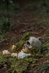 Halloween atmosphere and magical rituals in the middle of the forest with skeletons and enchanted mirror alluding to the other world, candles, moss and autumnal feeling 