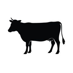 Fototapeta premium a Cow vector silhouette isolated on white background 