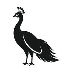 Fototapeta premium a minimalist peacock silhouette vector illustration, isolated white background. 