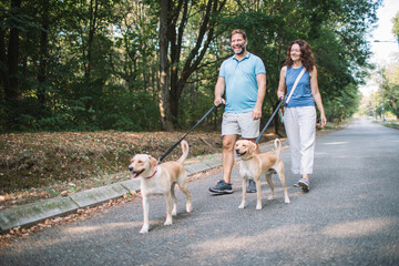 Mature couple enjoys a relaxed walk through the park, guiding their dogs on leashes