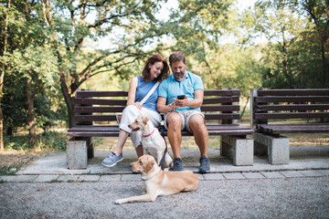 Couple sitting on the park's bench after walking their dogs