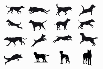 vector, isolated black silhouette of a dog, collection