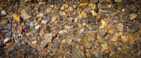 View of shimmering rocks in a stream bed.