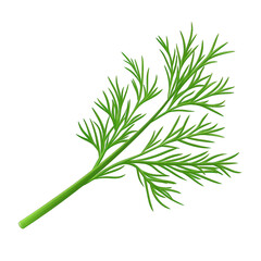 Fototapeta premium Fresh dill herb branch, vibrant green color with feathery leaves, ideal for culinary and gardening uses. transparent background