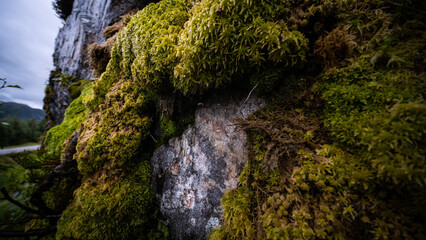 Paisajes de Noruega, Lofoten