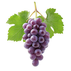 Fototapeta premium Fresh purple grape cluster with green leaves, perfect for healthy eating, desserts, or wine-making concepts. transparent background