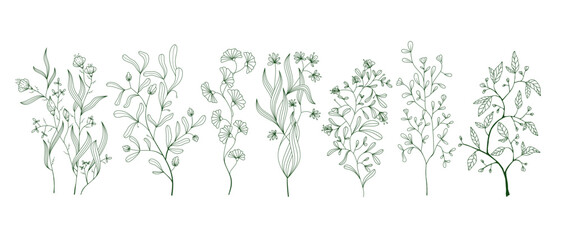 Fototapeta premium A set of flower designs are shown in black and white. The flowers are stylized and appear to be from a nature-inspired collection