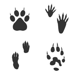Footprints of  Animal, Traces of a cat, ferret, raccoon and guinea pig on white background.  Silhouette animal tracks in gray. Paw Print for your  design. Vector illustration. EPS10. © katarinanh