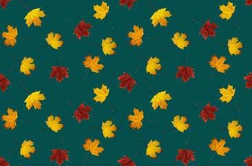 Seamless autumn pattern with maple leaves on a turquoise background.