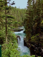 Fototapeta premium waterfall in the woods