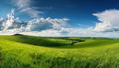 Obraz premium green field and blue sky