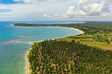 Aerial view of beach, clear ocean and palm trees in Pasikuda, Sri Lanka