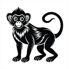 Obraz premium monkey silhouette vector