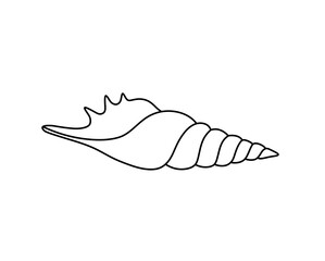 Vector isolated one single simple beautiful sea shell colorless black and white contour line easy drawing