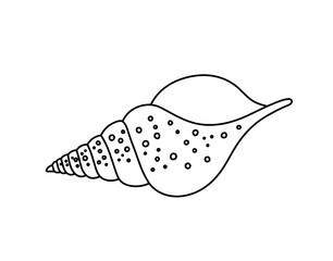 Vector isolated one single simple beautiful sea shell colorless black and white contour line easy drawing