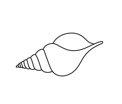 Vector isolated one single simple beautiful sea shell colorless black and white contour line easy drawing