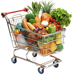 Supermarket shopping cart