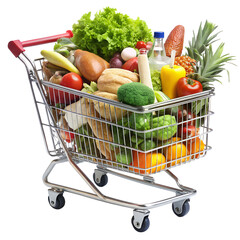 Supermarket shopping cart