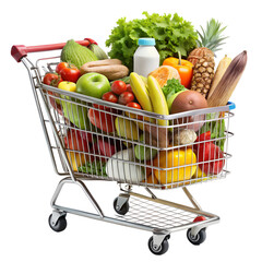 Supermarket shopping cart