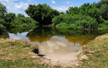 Tranquil and wildlife Natural Scene with a still body of water, small lake 