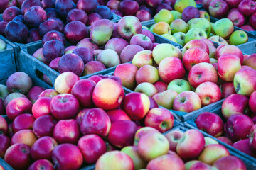 apples at the market, apple harvest, apple festival