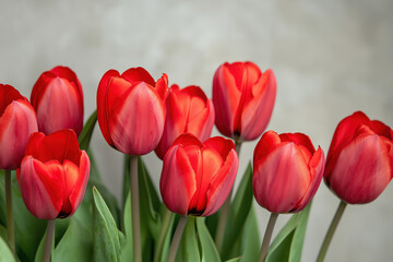 vibrant bunch of red tulips 