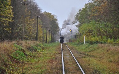 train in the countryside. a railway through an autumn forest and a steam locomotive in the distance.