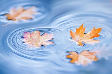 Fototapeta premium Colorful autumn leaves floating on calm water with gentle ripples