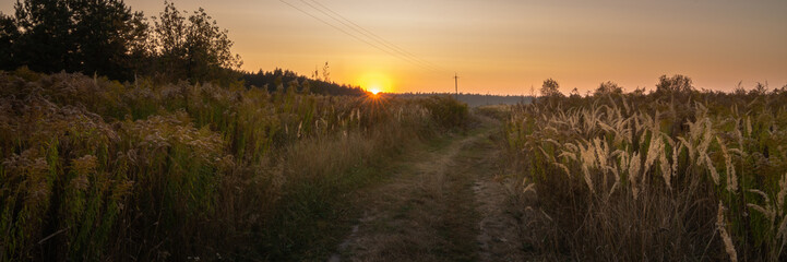 Country road through a field with tall grass in the warm light of an evening sunset with a low sun, orange dawn and sunbeams. Summer-autumn widescreen panoramic landscape