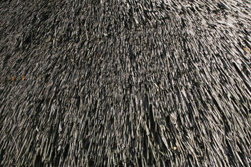 Grey thatched roof texture close up. Organic plant material roofing background. Straw, dried grass texture. Crafting a thatched roof, cottage building, decoration, renovation.