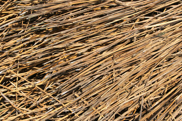 Yellow straw texture close up. Dried grass background. Haystack for mulching, fodder, organic farming and permaculture