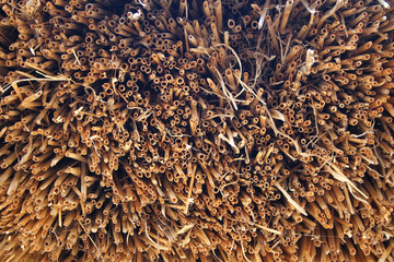 Yellow straw texture close up. Dried grass background. Haystack for mulching, fodder, organic...