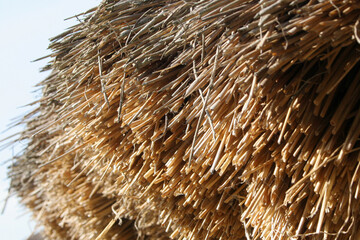 Brown thatched roof texture close up. Organic plant material roofing background. Straw, dried grass texture. Crafting a thatched roof, cottage building, decoration, renovation.