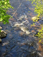 Neponset River, Massachusetts