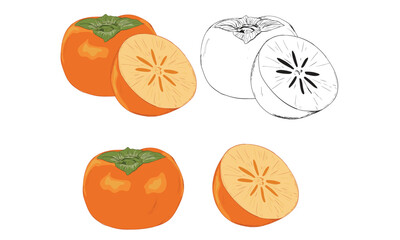 Persimmons fruit graphic print design.