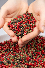 A handful of mixed peppercorns - red, green, white and black peppers in hands