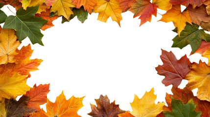Fototapeta premium Autumn Leaves Border Frame with Transparent Background
