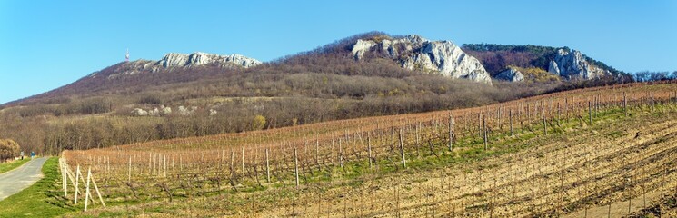 Fototapeta premium Pavlov Hills, limestone rock walls and vineyards