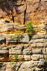 Close up of the Cambrian sandstone bluffs along the Wisconsin River in the Wisconsin Dells.