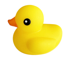 One yellow rubber duck is super cute. 黃色小鴨