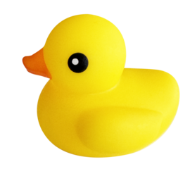 One yellow rubber duck is super cute. 黃色小鴨