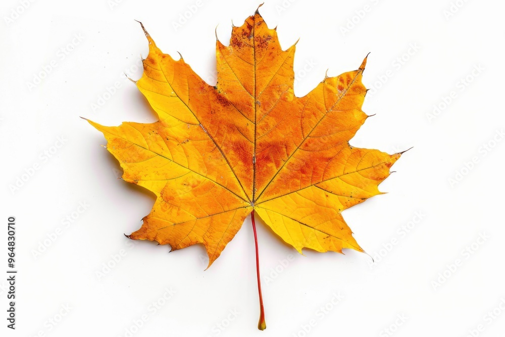 Aufkleber a single yellow leaf sits on a white surface, providing a pop of color against the neutral backgroun