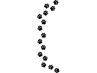   A path of paw prints of pets, dog or cat.  Vector illustration drawn with chalk or charcoal on white background. © Sviatlana
